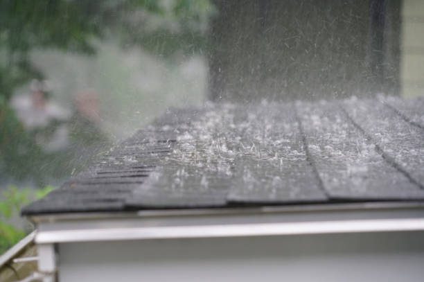 Best Roof Coating and Sealing  in Harleigh, PA