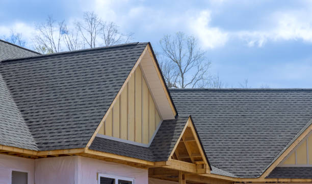 Best Roof Maintenance and Cleaning  in Harleigh, PA
